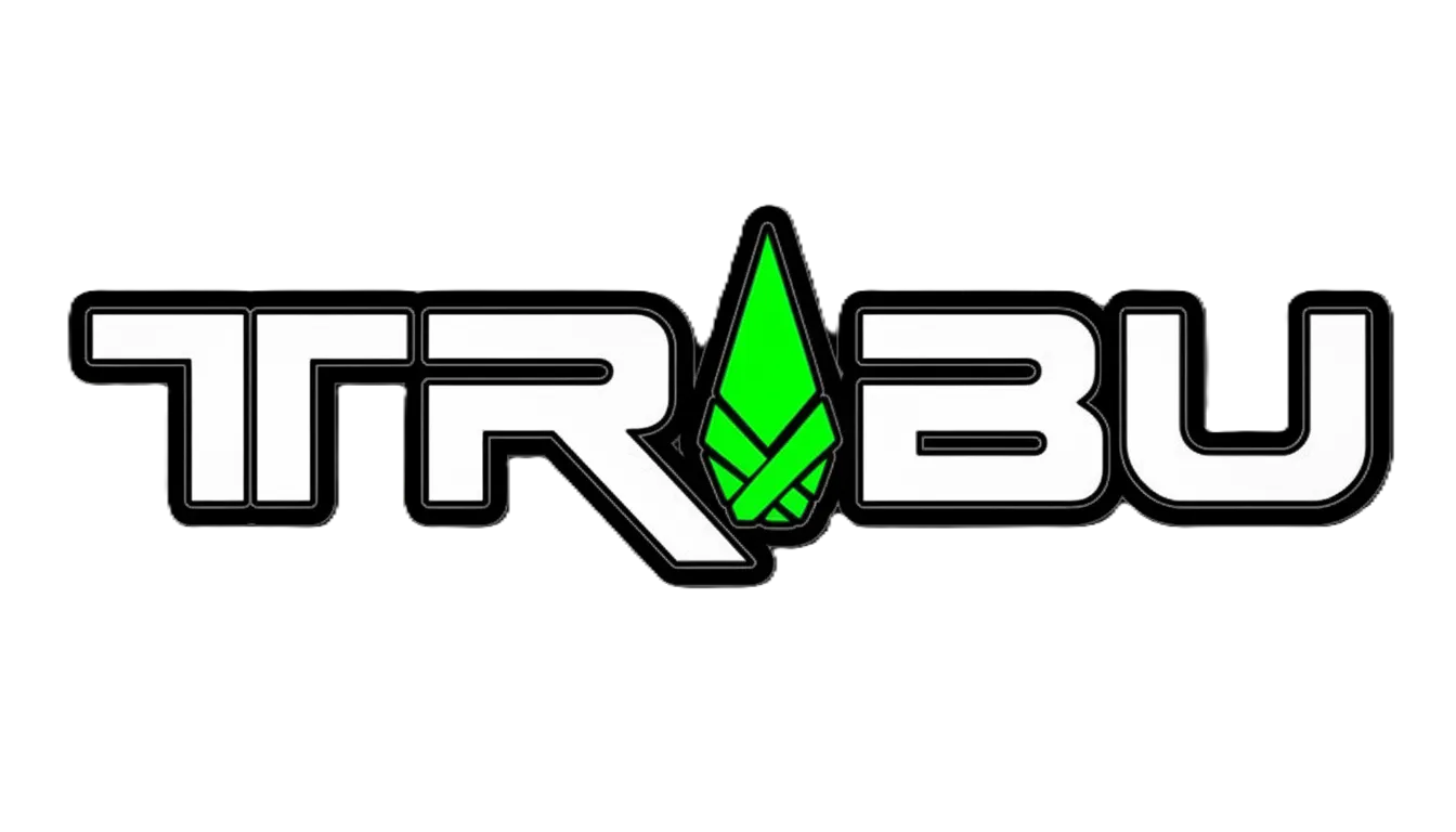 TRIBU | Estilo Callejero